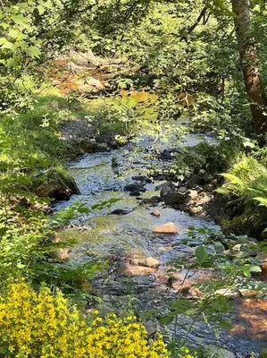 Naturlandschaft in der Nähe der Ferienwohnung
