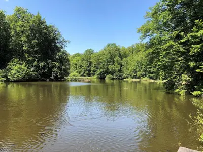 Naturlandschaft in der Nähe der Ferienwohnung