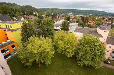 Naturlandschaft in der Nähe der Ferienwohnung