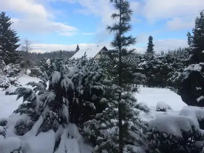 Harz Fewo Eulennestchen S1 im Winter
