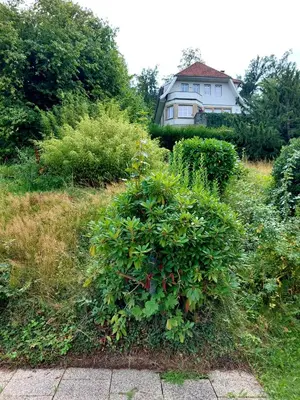 Ein Garten an der Unterkunft Panoramablick