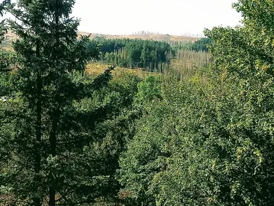 Naturlandschaft in der Nähe der Ferienwohnung