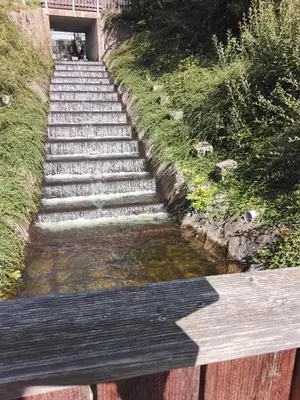 Grundriss der Unterkunft Hochwald Balkon