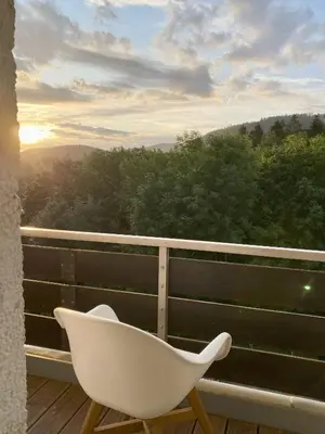 Ein Balkon oder eine Terrasse in der Unterkunft Ferienwohnung kleine Harzer Freiheit
