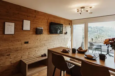 TV/Unterhaltungsangebot in der Unterkunft Harzchalet Emma 3 - mit Sauna - Sankt Andreasberg