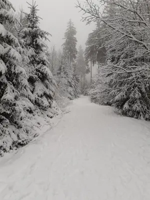 Kaminfeuer Hahnenklee - Ausblick bis zur Stabkirche im Winter