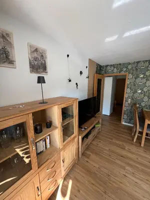 TV/Unterhaltungsangebot in der Unterkunft Ferienwohnung Harzzz
