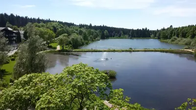 Naturlandschaft in der Nähe der Ferienwohnung