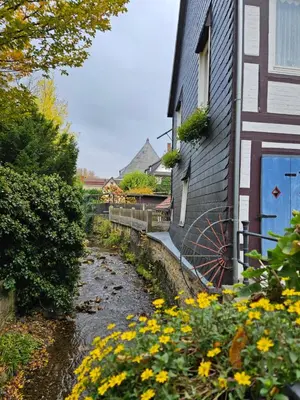 Ein Garten an der Unterkunft Ferienwohnung Dehn in Goslars Altstadt I Stylistisch mit Parkmöglichkeiten