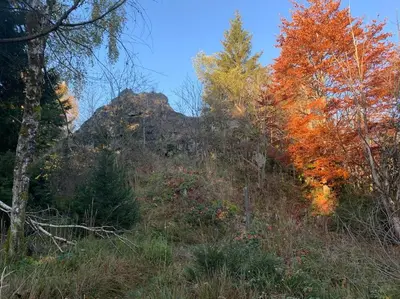 Naturlandschaft in der Nähe der Ferienwohnung