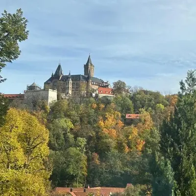 Studio Blick zum Schloss Wernigerode