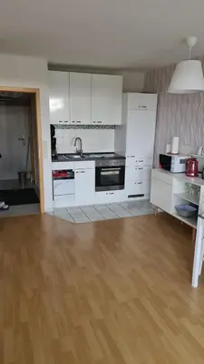 Küche/Küchenzeile in der Unterkunft Hohegeiß-Braunlage-Apartment 374