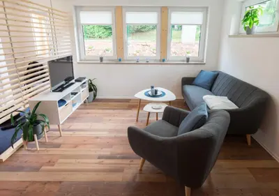 TV/Unterhaltungsangebot in der Unterkunft Ferienhaus Harzblüte