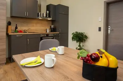 Küche/Küchenzeile in der Unterkunft Lieblingsquartier familiy Suite 2-3