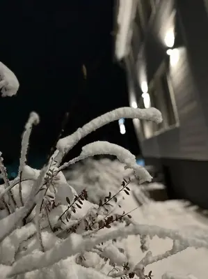 Lieblingsquartier - Wohnung 2 im Winter