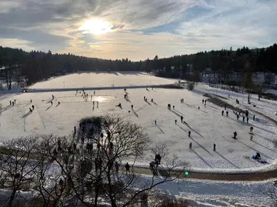 Sweet Harz im Winter