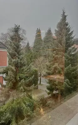 Ein Garten an der Unterkunft Gemütliche und Zentrumsnahe Wohnung in Goslar