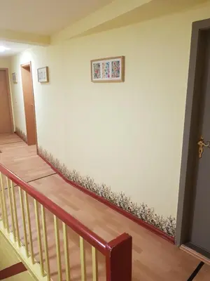 Grundriss der Unterkunft Haus Flora