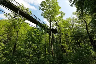 Naturlandschaft in der Nähe der Ferienwohnung