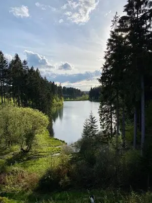 Naturlandschaft in der Nähe der Ferienwohnung