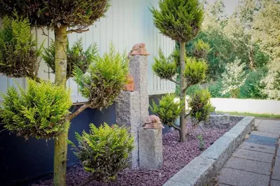 Ein Garten an der Unterkunft RuDi Ferien Ressort