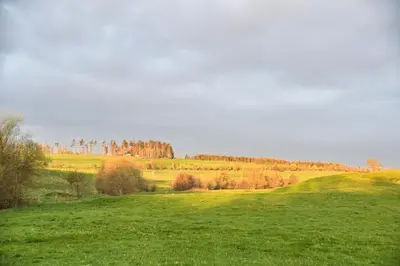 Naturlandschaft in der Nähe des Ferienhauses
