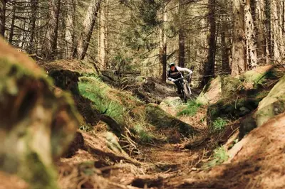 Gäste, die in der Unterkunft Harztrail Lodge übernachten