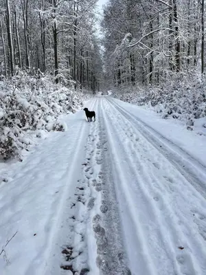 Haus Maxi im Winter