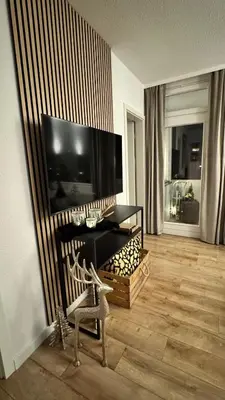TV/Unterhaltungsangebot in der Unterkunft Ferienwohnung FeWo Hahnenklee Goslar Harz bis zu 6 Personen