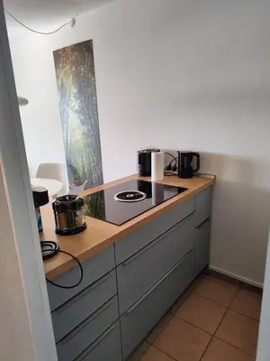 Küche/Küchenzeile in der Unterkunft Apartment Wanderslust im Harz mit Pool & Sauna