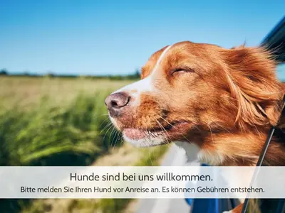 Haustiere von Gästen der Unterkunft Harzvorland-Auszeit für 2 & Hund & Natur inklusive