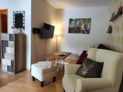 TV/Unterhaltungsangebot in der Unterkunft Ferienwohnung Harzluchs mit Balkon & Sauna im Haus