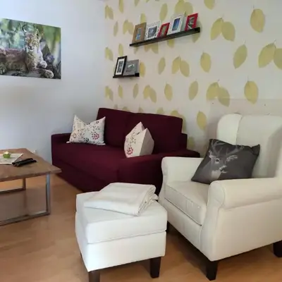 Ferienwohnung Harzluchs mit Balkon & Sauna im Haus