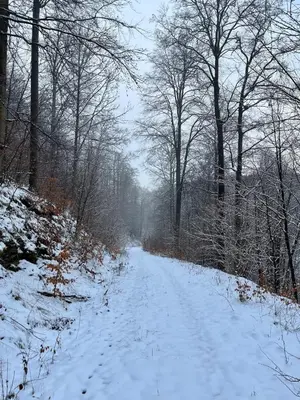 Renovated apartment with Wi-Fi im Winter