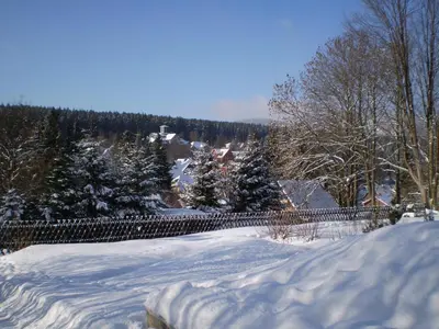 Ferienhaus Harzidyll im Winter