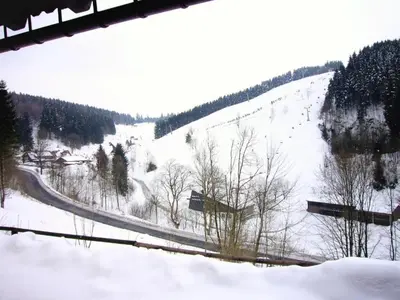 Das Eulennest im Winter