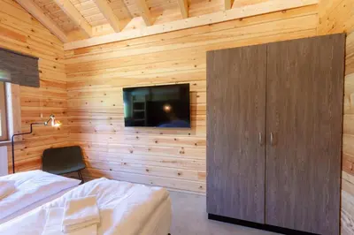 TV/Unterhaltungsangebot in der Unterkunft Ferienhaus Blockhouse 8 mit Sauna, Terrasse und Grill