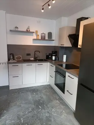 Küche/Küchenzeile in der Unterkunft HARZ-PFOTE familien- und hundefreundliche Ferienwohnung