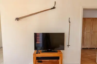 TV/Unterhaltungsangebot in der Unterkunft Ferienwohnung Bergwiesenblick mit Balkon