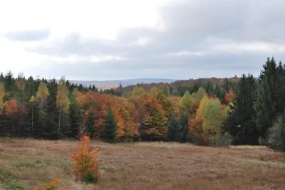 Naturlandschaft in der Nähe der Ferienwohnung