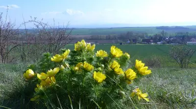 Naturlandschaft in der Nähe der Ferienwohnung