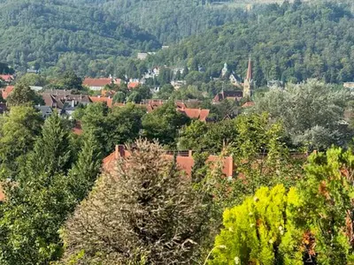 Naturlandschaft in der Nähe der Ferienwohnung