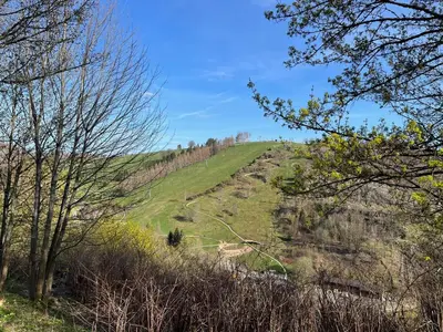 Naturlandschaft in der Nähe des Ferienhauses