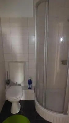 Ein Badezimmer in der Unterkunft Apartment Weitsicht mit Pool & Sauna