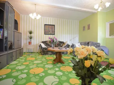 TV/Unterhaltungsangebot in der Unterkunft Ferienhaus in Cattenstedt Harz mit Garten