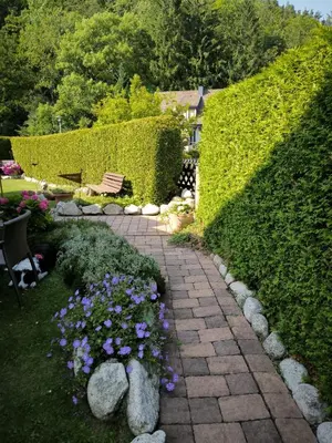 Ein Garten an der Unterkunft Ferienwohnung Am Sonnenbrink