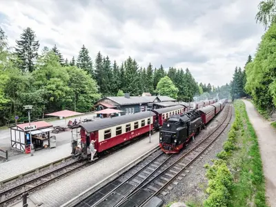 Grundriss der Unterkunft Bergwaldchalet Tierfreund 1