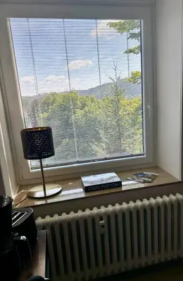 TV/Unterhaltungsangebot in der Unterkunft Bergzeit Hahnenklee