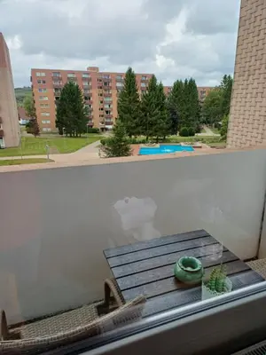 Der Swimmingpool an oder in der Nähe von Waldgeflüster