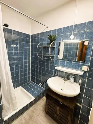 Ein Badezimmer in der Unterkunft FeWo Hochwald Hahnenklee